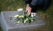 Cosa include un servizio funebre low cost e come sceglierlo senza sorprese
